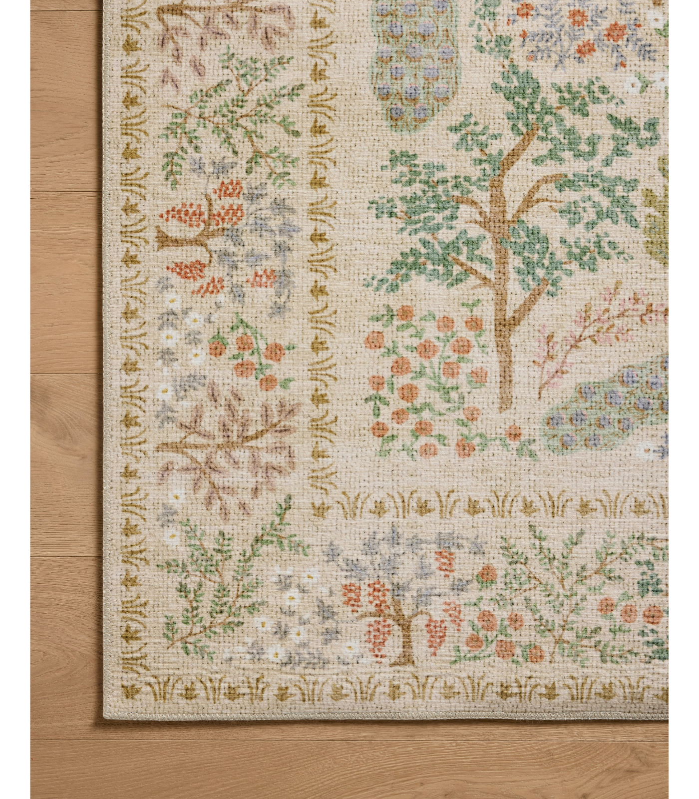 Alfombra Canopy 05 Cream Rifle Paper Co x Loloi (182X274)
