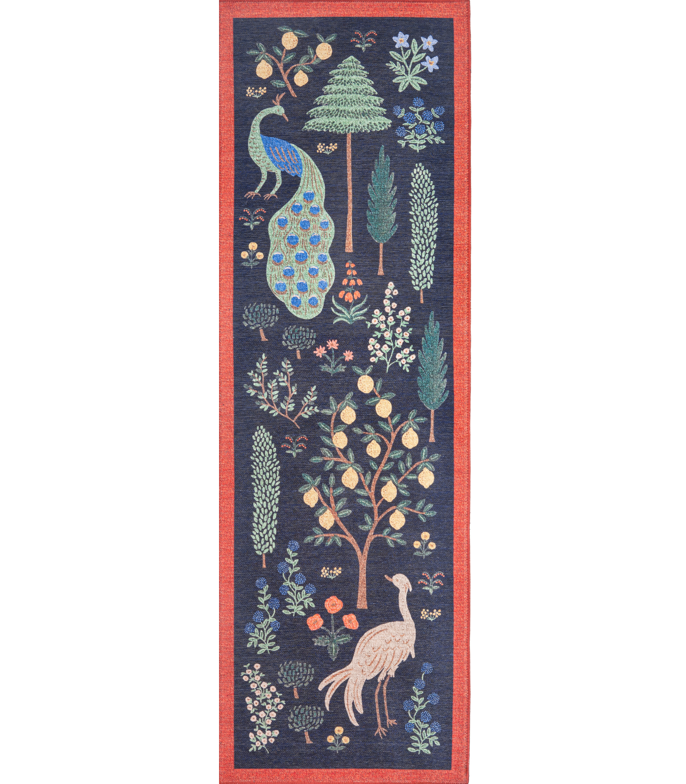 Alfombra Menagerie 01 Les Fauves Black Rifle Paper Co. x Loloi (77X229)