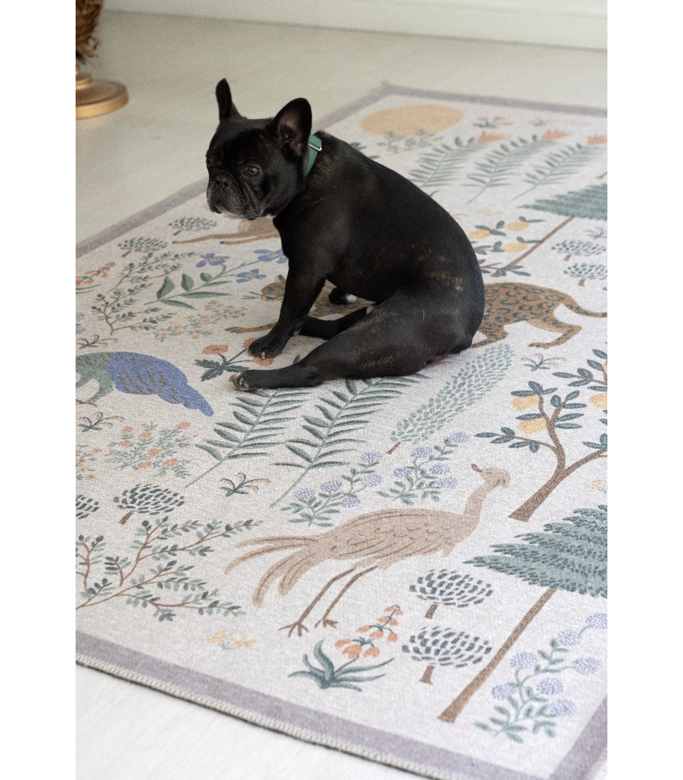 Alfombra Menagerie 01 Les Fauves Cream Rifle Paper Co. × Loloi (153X229)