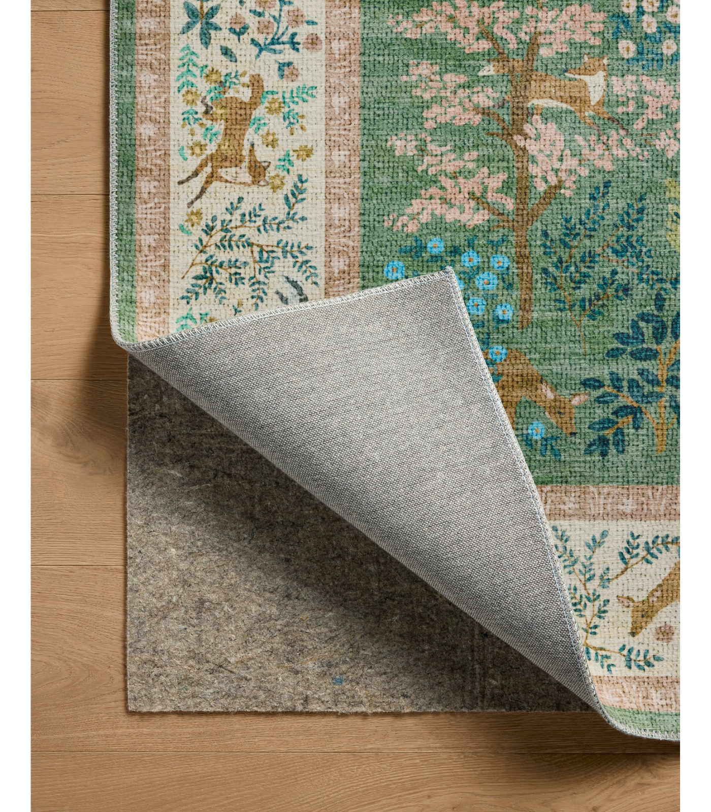 Alfombra Canopy 02 Sage | Blush Rifle Paper Co x Loloi (229X290)