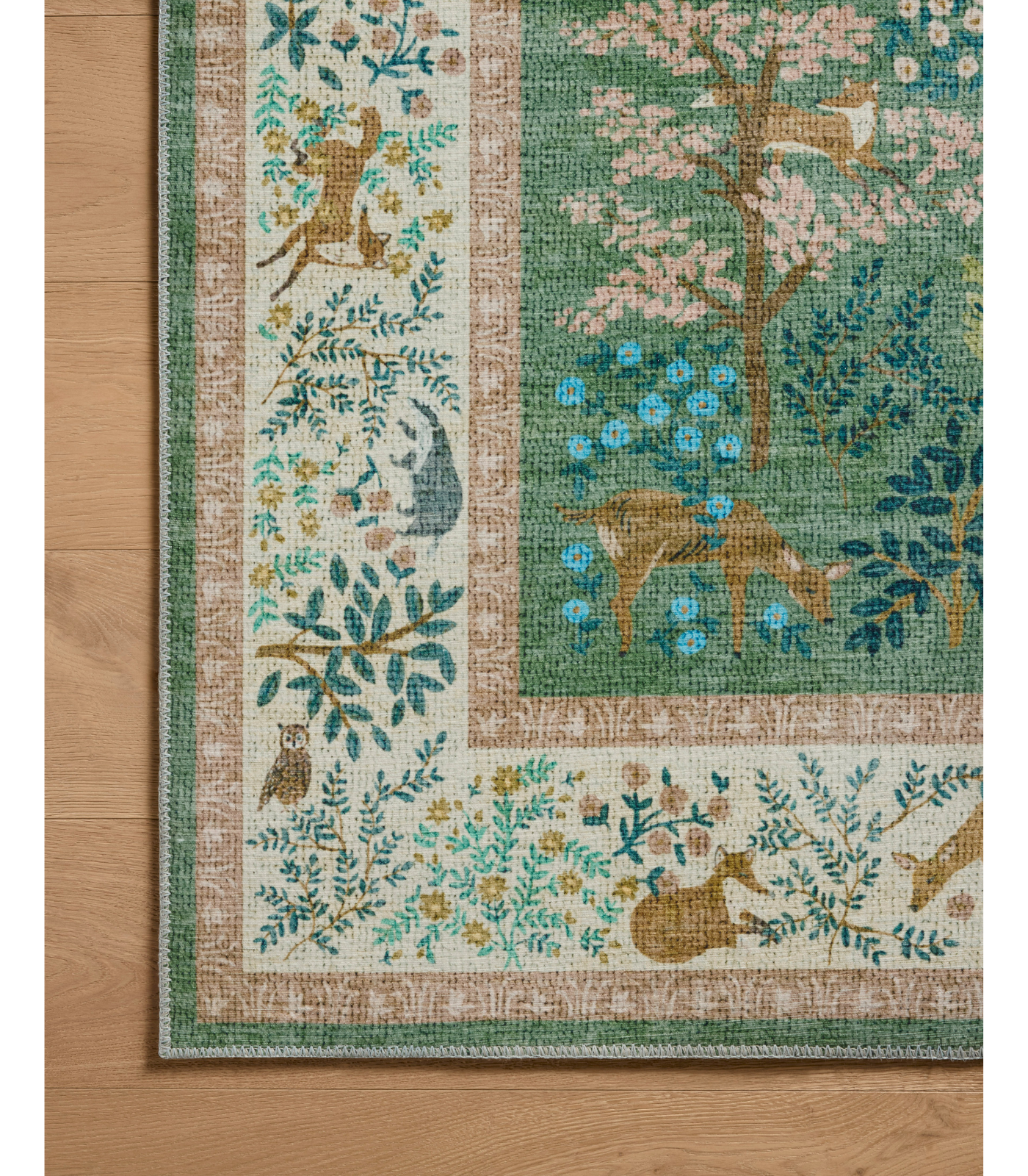 Alfombra Canopy 02 Sage | Blush Rifle Paper Co x Loloi (229X290)
