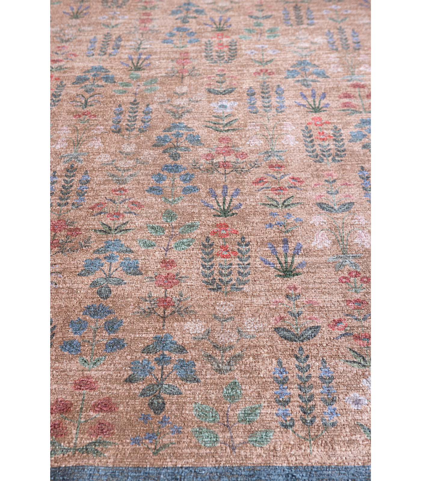 Alfombra Edinburgh 03 Wheat | Multi x Rifle Paper Co x Loloi