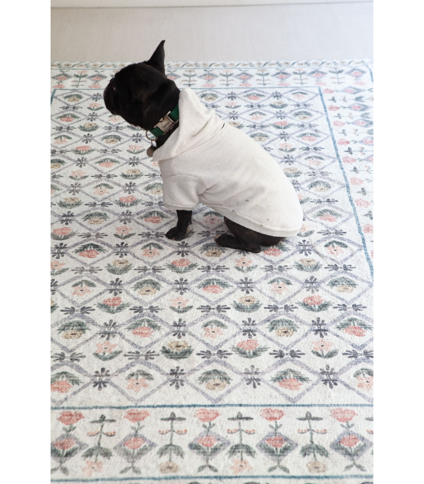 Alfombra Eden 03 Lattice Ivory Rifle Paper Co. X Loloi (153X229) - Perle&Perle